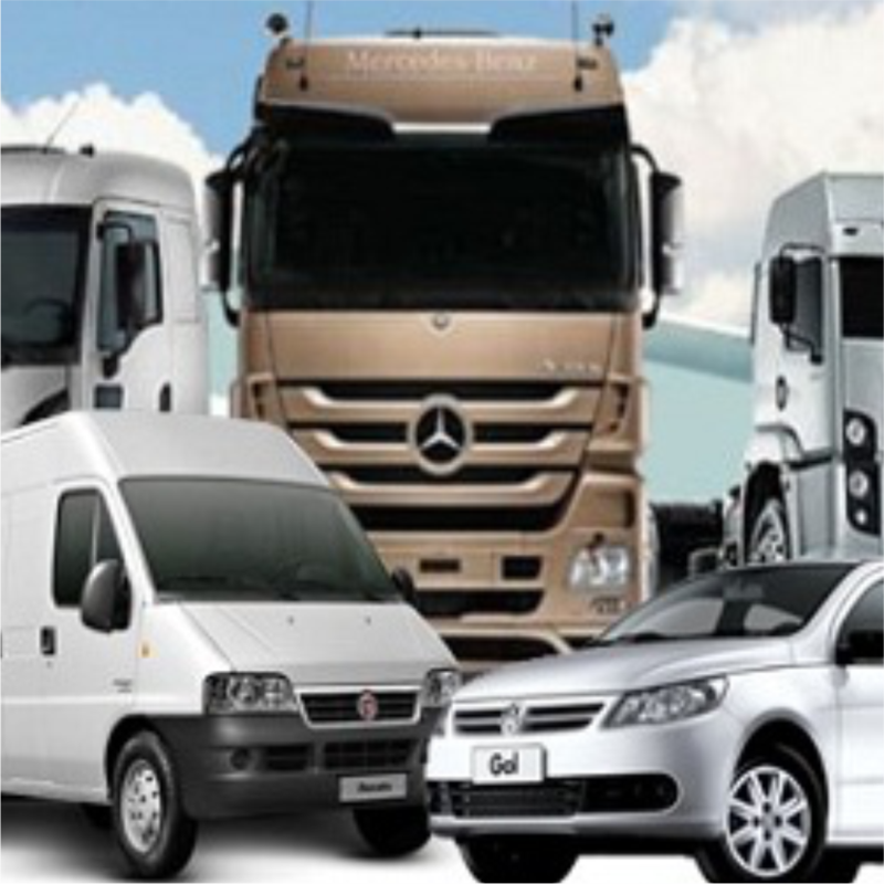 Transportadora Região de São Paulo